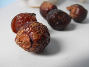 zeepnoten biologisch wasmiddel