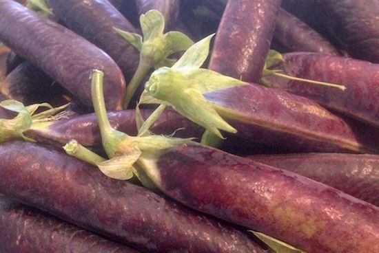 Geoogst uit eigen tuin: Kapucijners