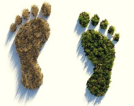 ecological-footprint-4123696_640