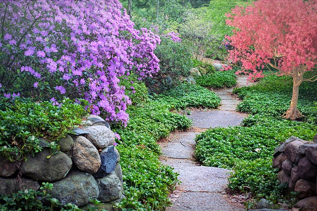 Tips voor een duurzame en onderhoudsvriendelijke tuin