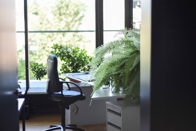 4 tips voor een groener kantoor